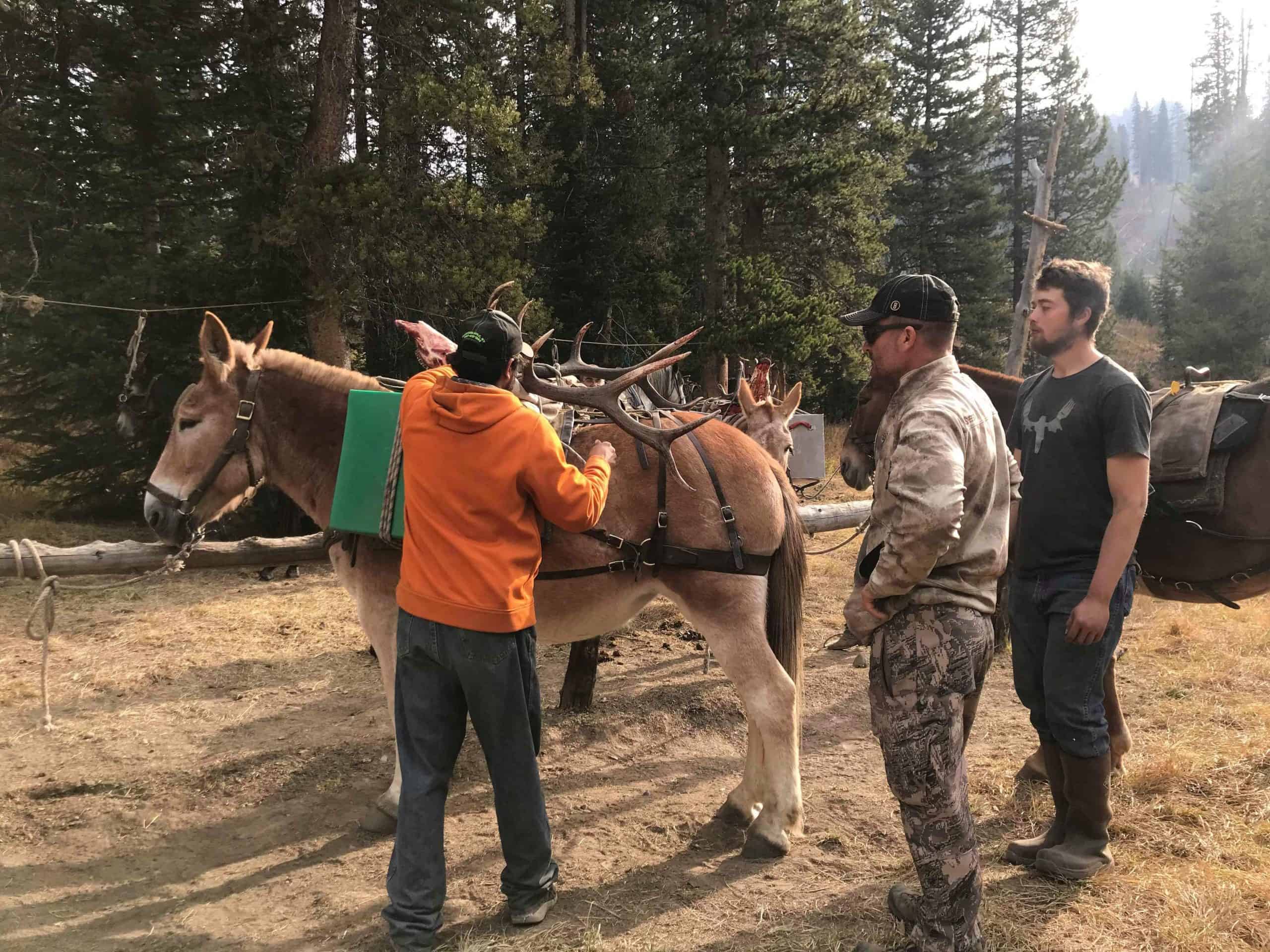 Guide School Packing Antlers Guide School Packing Antlers